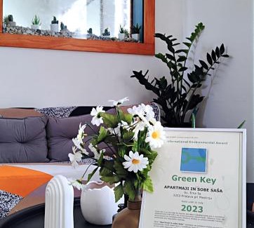 Podcetrtek House | Pet-Friendly Apartments & Rooms Saša - Rated 9.1/10