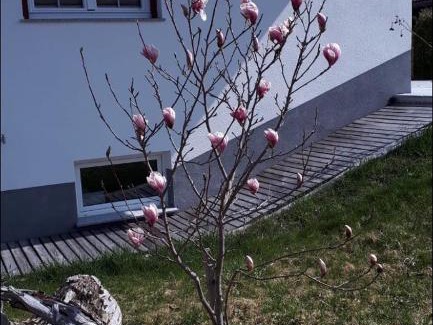 Reutte Apartment | Family-Friendly Apartments Schöll with High Guest Ratings