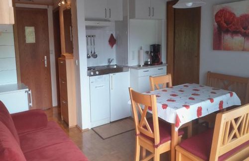 Auffach Apartment | Family-Friendly Apartments Schatzberg-Haus in Wildschönau