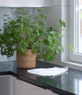 Smalandsstenar Apartment | Apartments Smålandsstenar