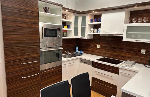 Brno Apartment | Modern Apartments Spačilova Near City Center with Spa Access