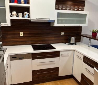 Brno Apartment | Modern Apartments Spačilova Near City Center with Spa Access