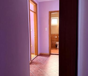 Centar Apartment | Pet-Friendly Apartments in the Heart of Budva, Montenegro