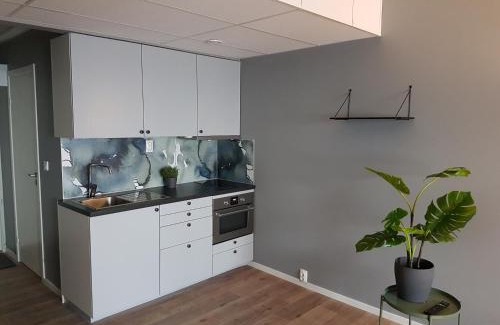 Uppsala Apartment | Discover Pet-Friendly Apartments in Uppsala - Portalgatan