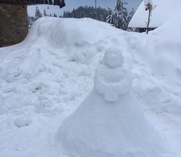 Jahorina Apartment | Top-Rated Family-Friendly Apartments at Villa Deja