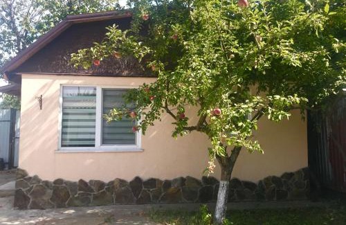 Solomjanskyj Apartment | Cozy Apartments with Kitchen and Garden, Rated 9.1/10