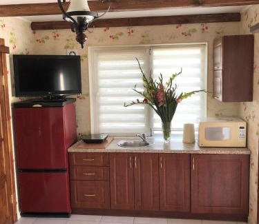 Solomjanskyj Apartment | Cozy Apartments with Kitchen and Garden, Rated 9.1/10