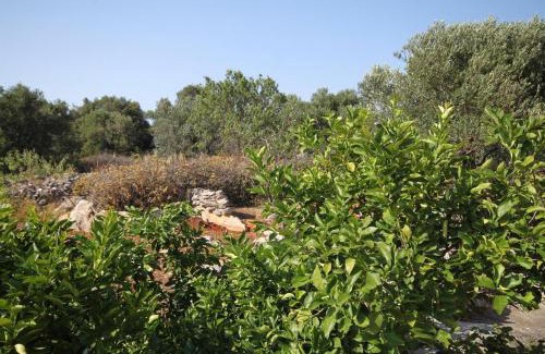 Bozava Apartment | Family-Friendly Apartments with Parking in Bozava, Dugi Otok