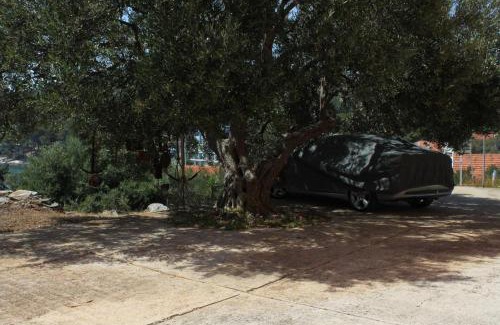 Bozava Apartment | Family-Friendly Apartments with Parking in Bozava, Dugi Otok