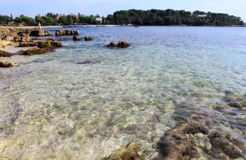 Borik Apartment | Family-Friendly Apartments with Parking in Rovinj, 9.7/10