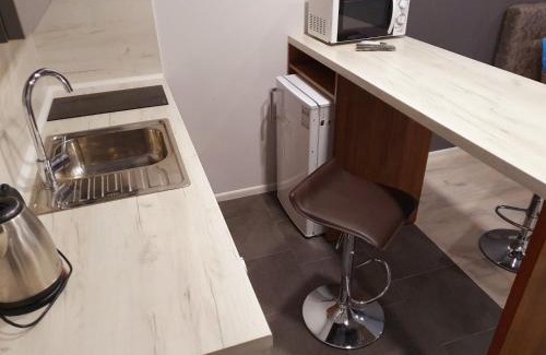 Uzhhorod Apartment | Family-Friendly Apartservice in Uzhgorod - Rated 9.9/10