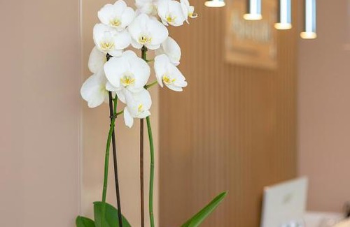 Kirovograd Hotel | Top-Rated ApartUA Кропивницький with Family-Friendly Amenities