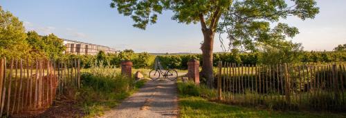 Ladekop House | Apfelhof Wegener Elstar: Pet-Friendly Oceanfront Retreat