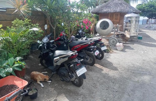 Zamboanguita Resort | Apo Tropica Resort