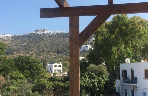 Skala Apartment | Pet Friendly Apocalypsis Houses with Excellent Amenities