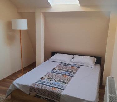 Singeorgiu de Mures Apartment | Apollo 2 camere