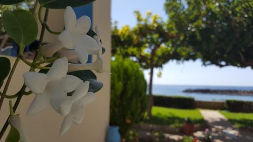 Fragkokastello Apartment | Explore Apolloneia Apartments with Oceanfront Views