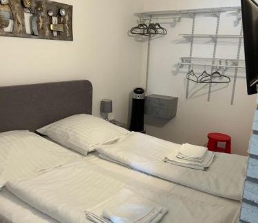 Hohegeiß Apartment | Modern App 365 Panoramic Hohegeiß with Pool and WiFi