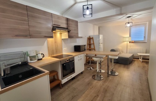 Roche-la-Moliere Apartment | Appart Avec Belle VUE ET Calme