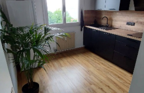 Evian-les-Bains Apartment | Appart Cosy Avec vue sur le Lac Léman