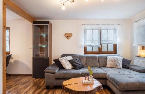 Bad Rippoldsau-Schapbach Apartment | Exceptional Appart Herzglück: Child-Friendly Retreat