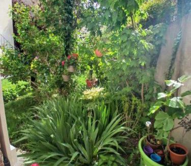 Faubourg Sud Apartment | Family-Friendly Appart Rez de jardin with High Guest Ratings