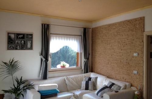 Santo Stefano di Cadore Apartment | Appartamento Elena