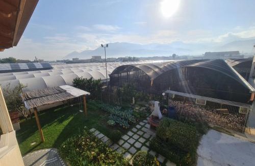 Santa Maria la Carita Apartment | Discover Appartament "Il Giardino" – Rated 9.5/10 Stay