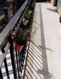 Cetraro Apartment | Oceanfront Appartamenti Don Guglie' with Pet-Friendly Comfort