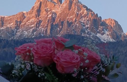 Transacqua Apartment | Child-Friendly Appartamenti Primiero with Exceptional Ratings