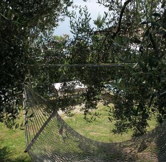 Musaga Apartment | Pet-Friendly Appartamenti Serena - Nonna Agnese Awaits