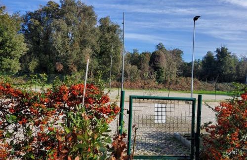 Calambrone Apartment | Family-Friendly Appartamento 9 with Pool and High Ratings