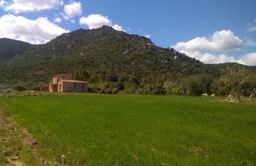 Muravera Apartment | Cozy Appartamento a Feraxi with Kitchen - Guest Rated 9/10