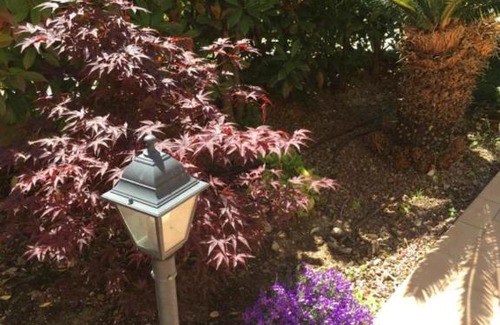 Imperia House | Cozy Garden Home Perfect for Families with Children