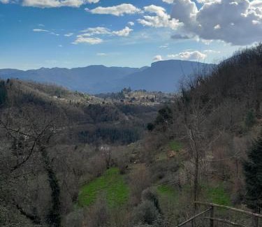 Barga Apartment | Cozy Appartamento ai Domenichetti: Pet & Child Friendly Stay