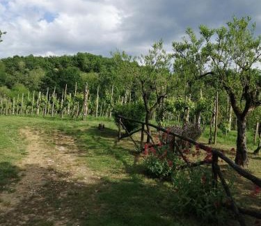 Figline e Incisa Valdarno Apartment | Pet-Friendly Appartamento Bellosguardo: Perfect for Families