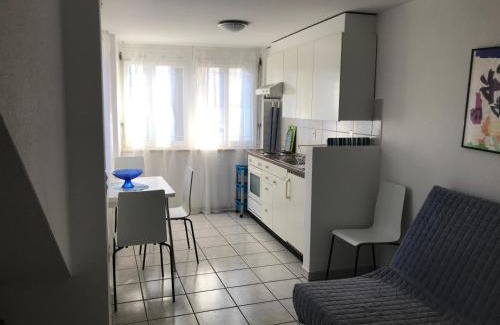 Minusio Apartment | Stunning Appartamento Ca dal Tilo with Ocean View Amenities