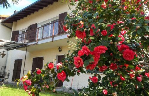 Porto Valtravaglia Apartment | Family-Friendly Appartamento Ibisco with High Guest Ratings