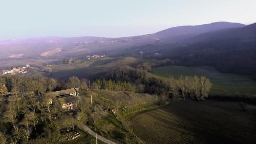 Langhirano Apartment | Serene Apartment Surrounded by Nature with Breakfast Included