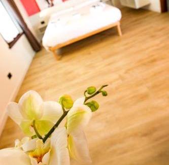 Belluno House | Experience Belluno's Beauty at Le Tofane - Family & Pet Friendly