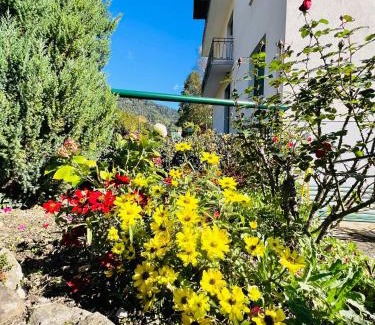 Transacqua Apartment | Pet and Child Friendly Appartamento Margherita Awaits You