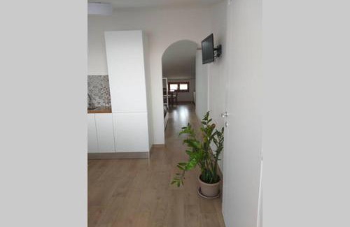 Selargius Apartment | Cozy Apartment in the Heart of Selargius, Rated 9.4/10
