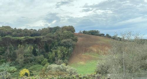 Zona LIII Tomba di Nerone Apartment | Nature-Inspired Apartment Near San Pietro Hospital