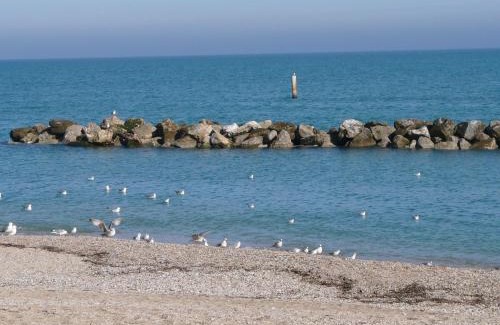 Porto Recanati Apartment | Paradiso Azzurro: Oceanfront Retreat with Pool & Pet Friendly