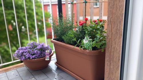 Cremona Apartment | Experience Comfort at Appartamento Rachele - 4 Star Stay
