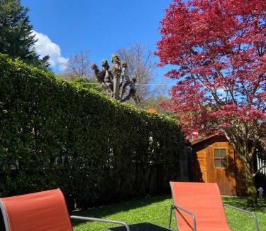 Carciano Apartment | Appartamento rosada