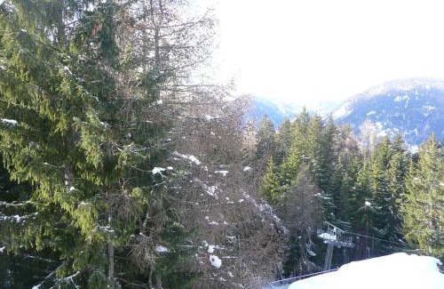 Marilleva Apartment | Cozy Appartamento Sole Alto - Pet & Child Friendly Stay