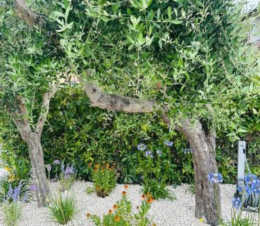 Marcelli Apartment | Experience Appartamento Sole: Beachfront Bliss Awaits