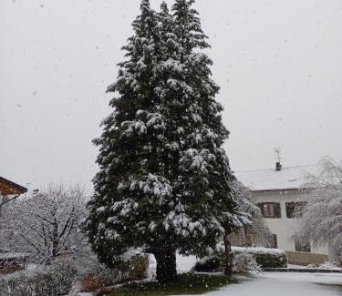 Spormaggiore House | Top-Rated Appartamento Tenaglia with Pool and Breakfast