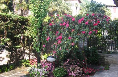Cannero Riviera Apartment | Pet-Friendly Appartamento Tennis with High Guest Ratings